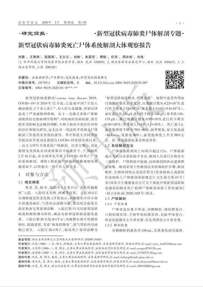 探索新冠病毒奥秘与挑战，最新肺炎解剖学揭秘