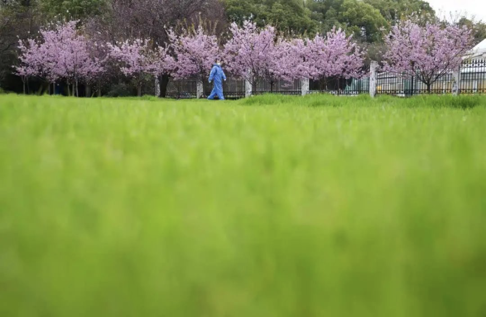 花校园魅力新风采