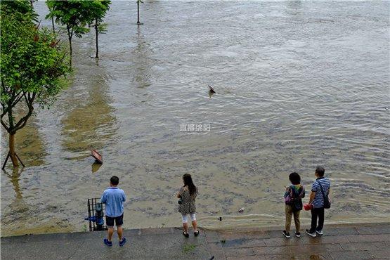 洪水一线最新直播，关注灾情与救援进展实时报道