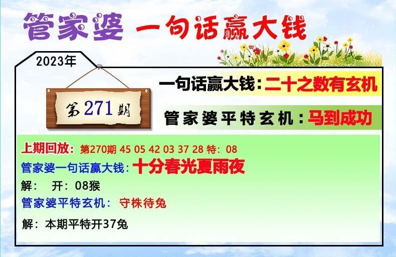 22023管家婆一肖中特,广泛的解释落实方法分析_BT81.667