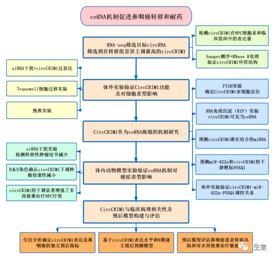 2024资料大全正版资料,结构化评估推进_SHD32.959