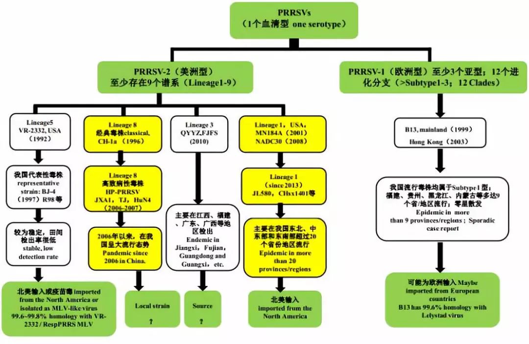 澳门版管家婆一句话,多样化策略执行_Notebook55.166