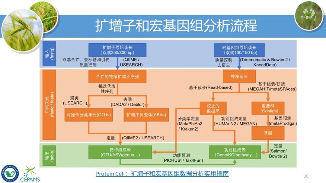 2004年新澳门精准资料,数据导向实施策略_Deluxe57.702