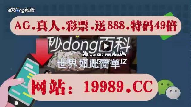 2024澳门天天开好彩大全香港,灵活解析实施_uShop96.441