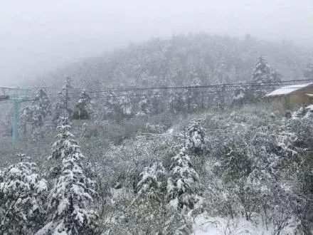 长春雪舞翩翩，最新雪情与绝美风景欣赏