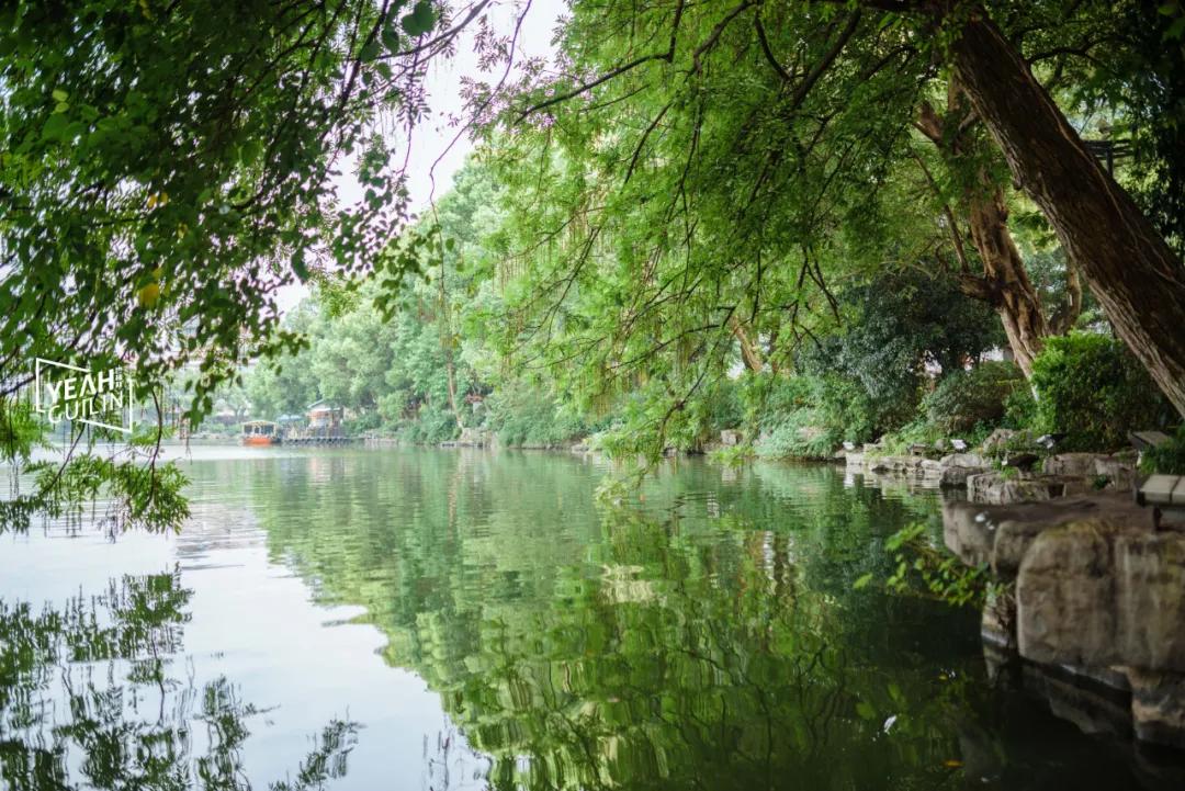 桂林最新餐厅，美食之旅的新篇章开启