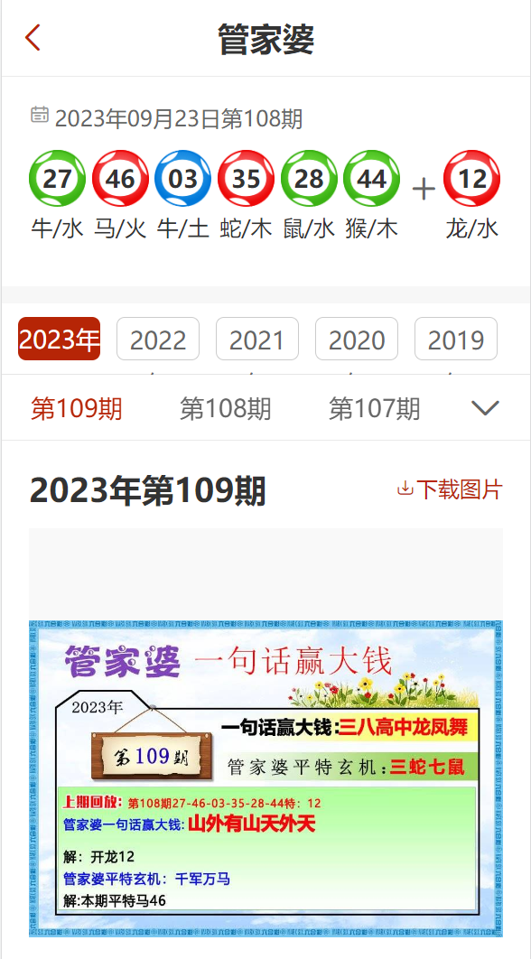 新澳门2024年资料大全管家婆,专业调查解析说明_标准版25.787