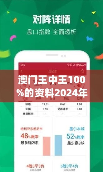 2024年新澳门王中王免费,实地数据验证策略_试用版19.259