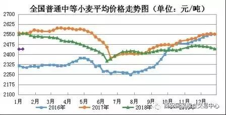 最新小麦价格行情分析与查询报告