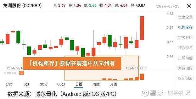 龙洲股份最新公告深度解读与解析